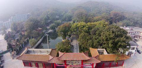 徐州萧县GDP_萧县面皮图片(2)