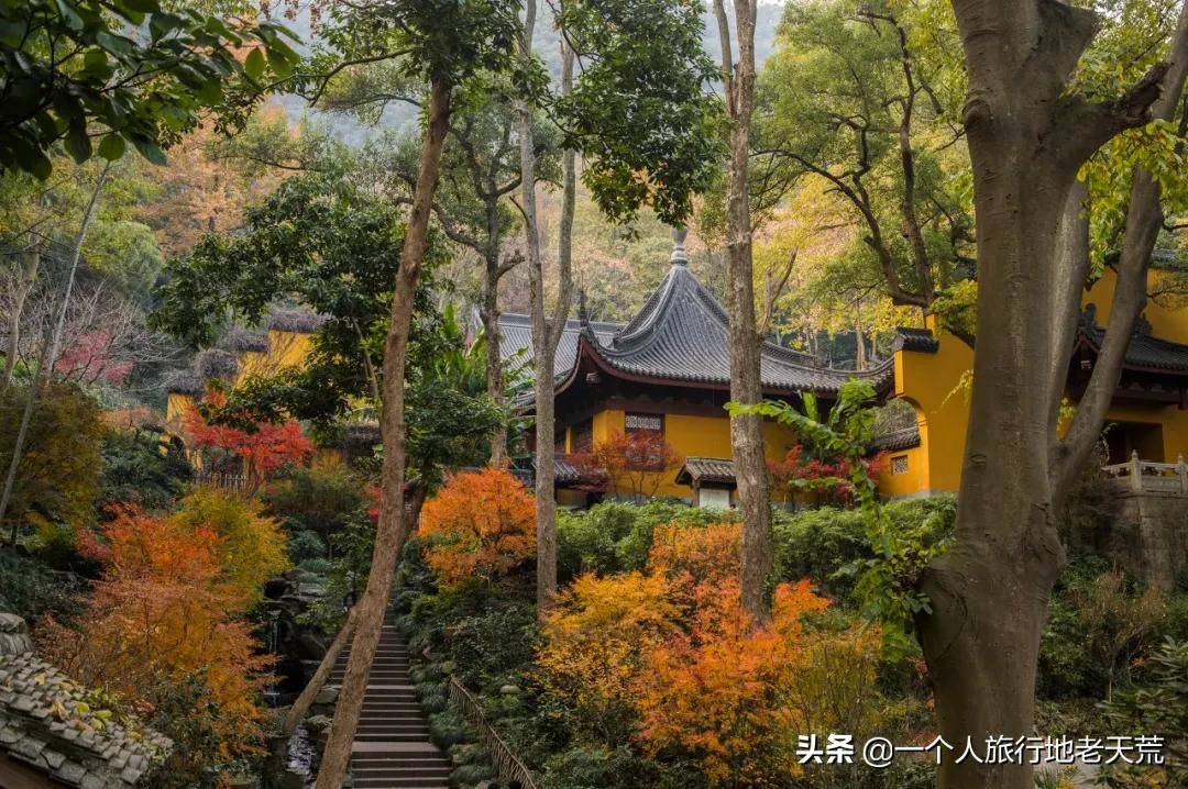 藏于深山中的 灵隐寺,一入秋,也变成了色彩斑斓的模样,迷人至极.