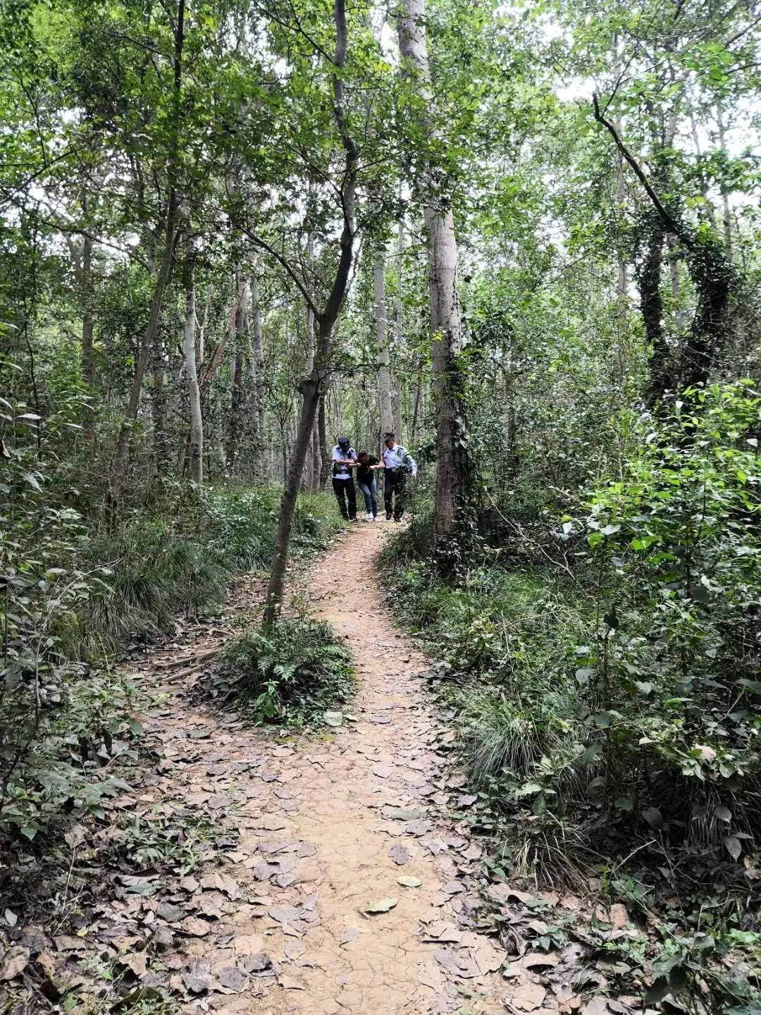 紧急搜救!合肥一女子欲轻生走进大蜀山,位置不详