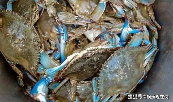 螃蟹的排名_螃蟹卡通图片(2)