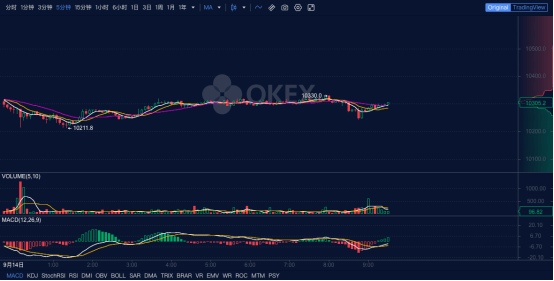 多元化|OKEx渐入佳境，币种朝多元化方向可持续发展