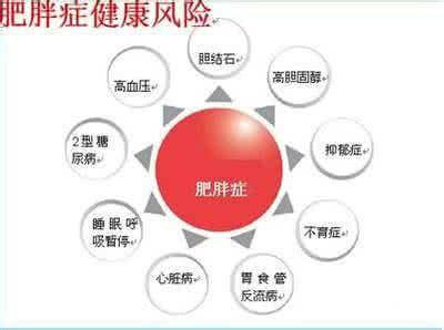 科学|爸妈要懂得发胖孩子的体重如何收得住？科学喂养的几招