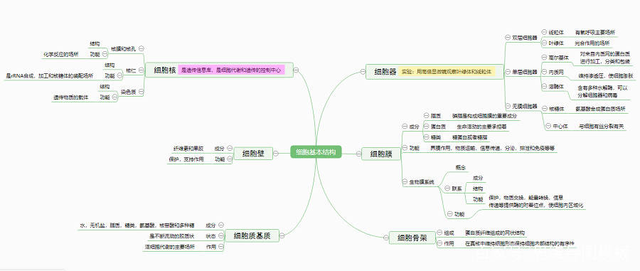 一本书让你了解思维导图