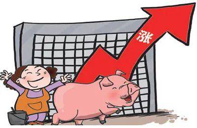 梦到卖猪肉，预示生活富足与人际和谐的深层解读