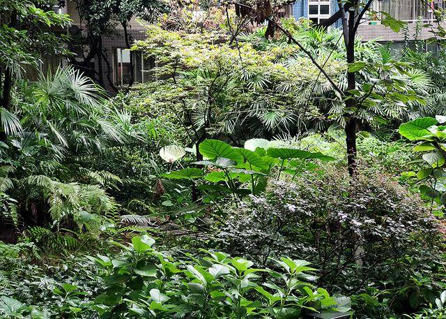 画面|三摄搭配夜景清晰，OPPO Reno4 Pro随拍体验