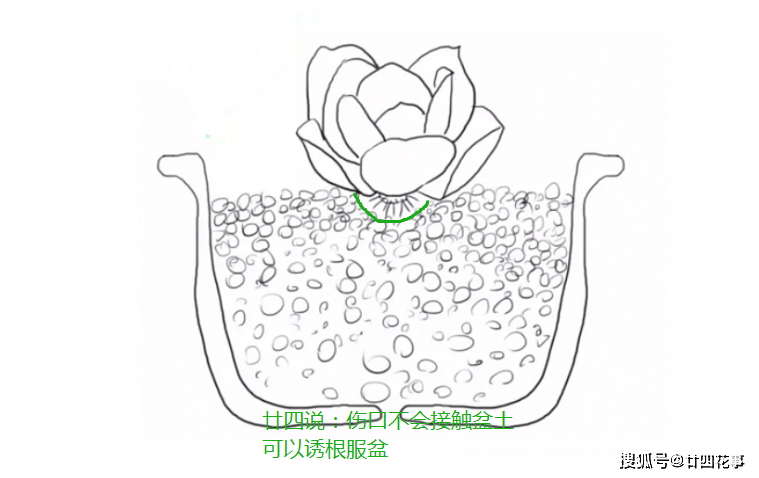c0371eb176b746a49c5630c8fb702339.png