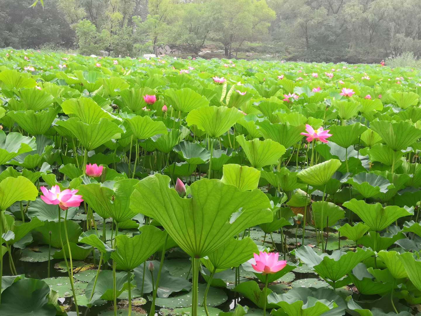 圈子|为什么要考研？因为圈子比你想象中的更重要！