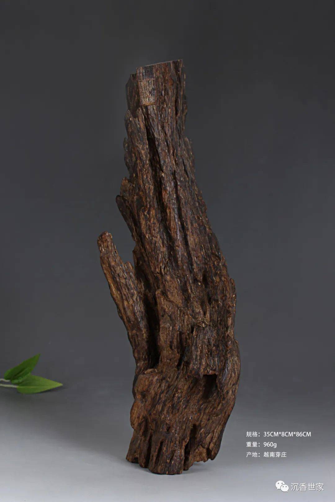 一期一香】棋楠天香鉴赏_搜狐网