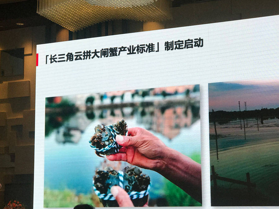 消息资讯|拒当“洗澡蟹” 借势拼多多 太湖蟹、洪泽湖蟹等“长三角蟹”要为自己正名