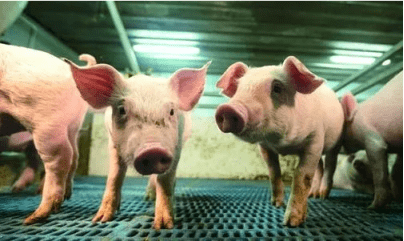 医药|医药类基金排名：在公募基金领域，医药类基金“乘风破浪”霸占前五十榜单