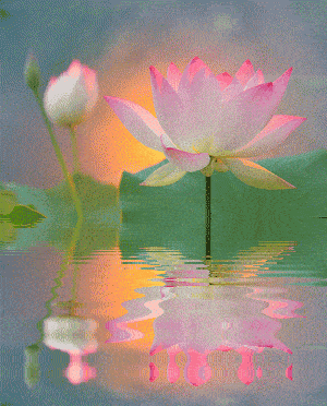 300_372 竖版 竖屏