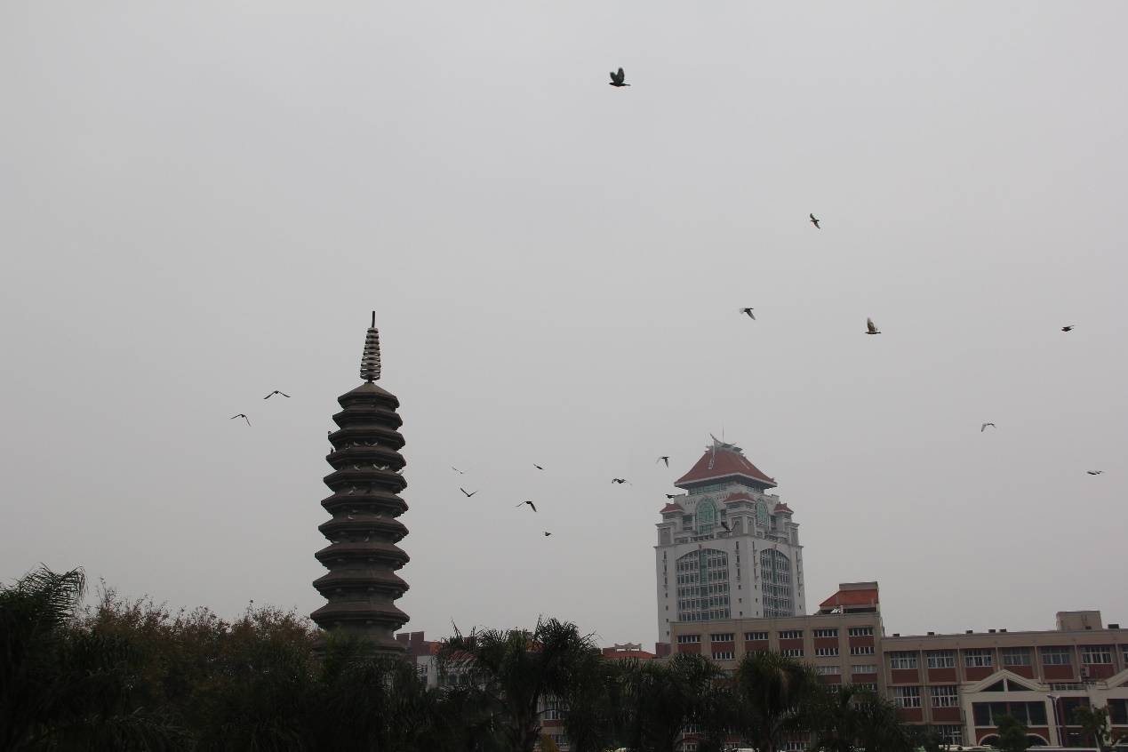 武汉汉秀剧场惨剧背后:万达商管债务压力大,现金流不乐观