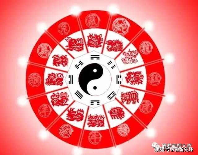 32种指纹组合测命运!这也太准了！