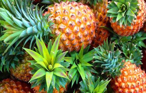 菠萝怎么吃不麻舌头 edc194d1acfb486a8c62adee2b1cf624.jpeg