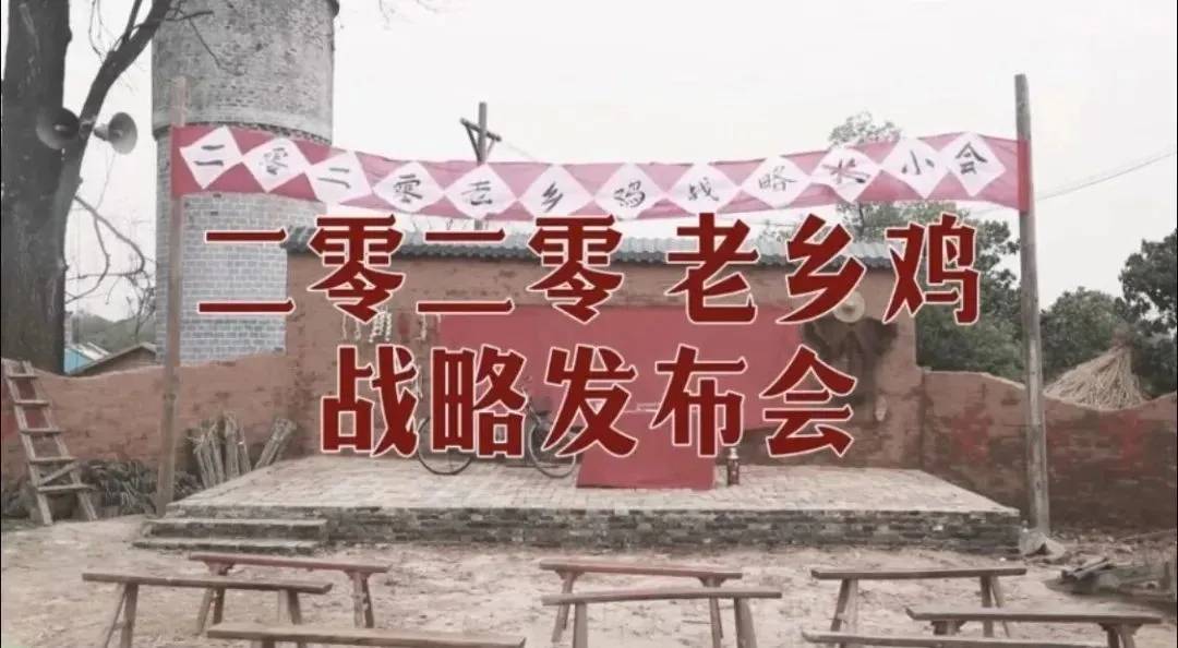 品牌|2020年CMO最关心的品牌营销玩法TOP4盘点
