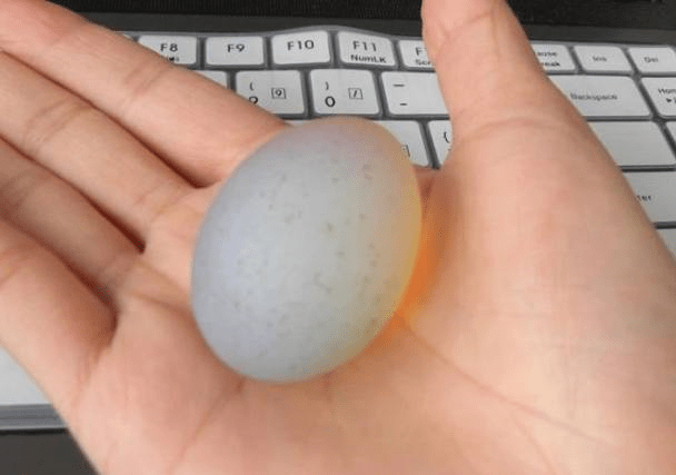 3d7705d2ec3247c981f1cfc6258bcebf.png