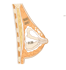 脂肪|鞠婧祎再花70w能do成迪丽热巴的前凸后翘？！