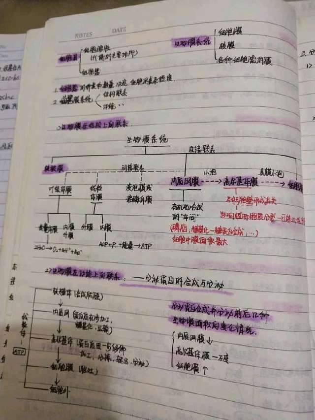 笔记|当她拿出自己的22本笔记时全班都沉默了！高考685分学霸