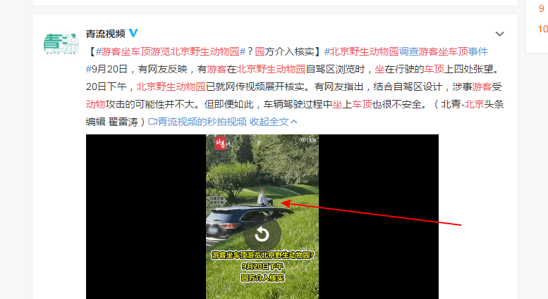 北京女游客忘记三年前教训坐车顶游览野生动物园