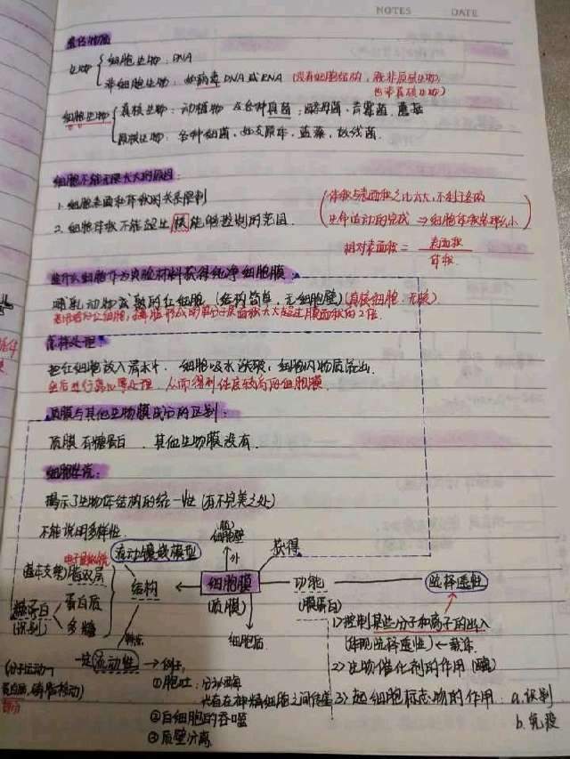 笔记|当她拿出自己的22本笔记时全班都沉默了！高考685分学霸