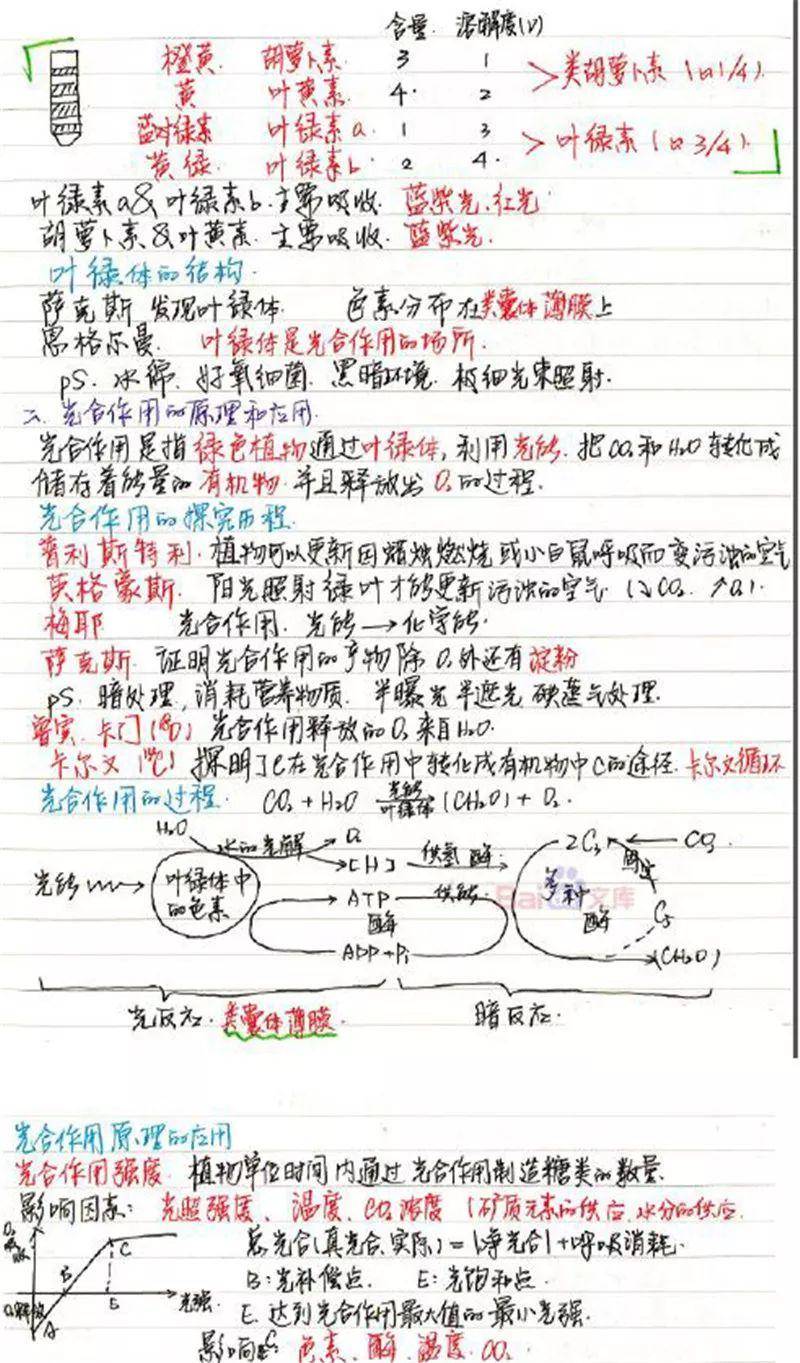020829e2eb174901bc7f0b5d6a6d3808.jpeg
