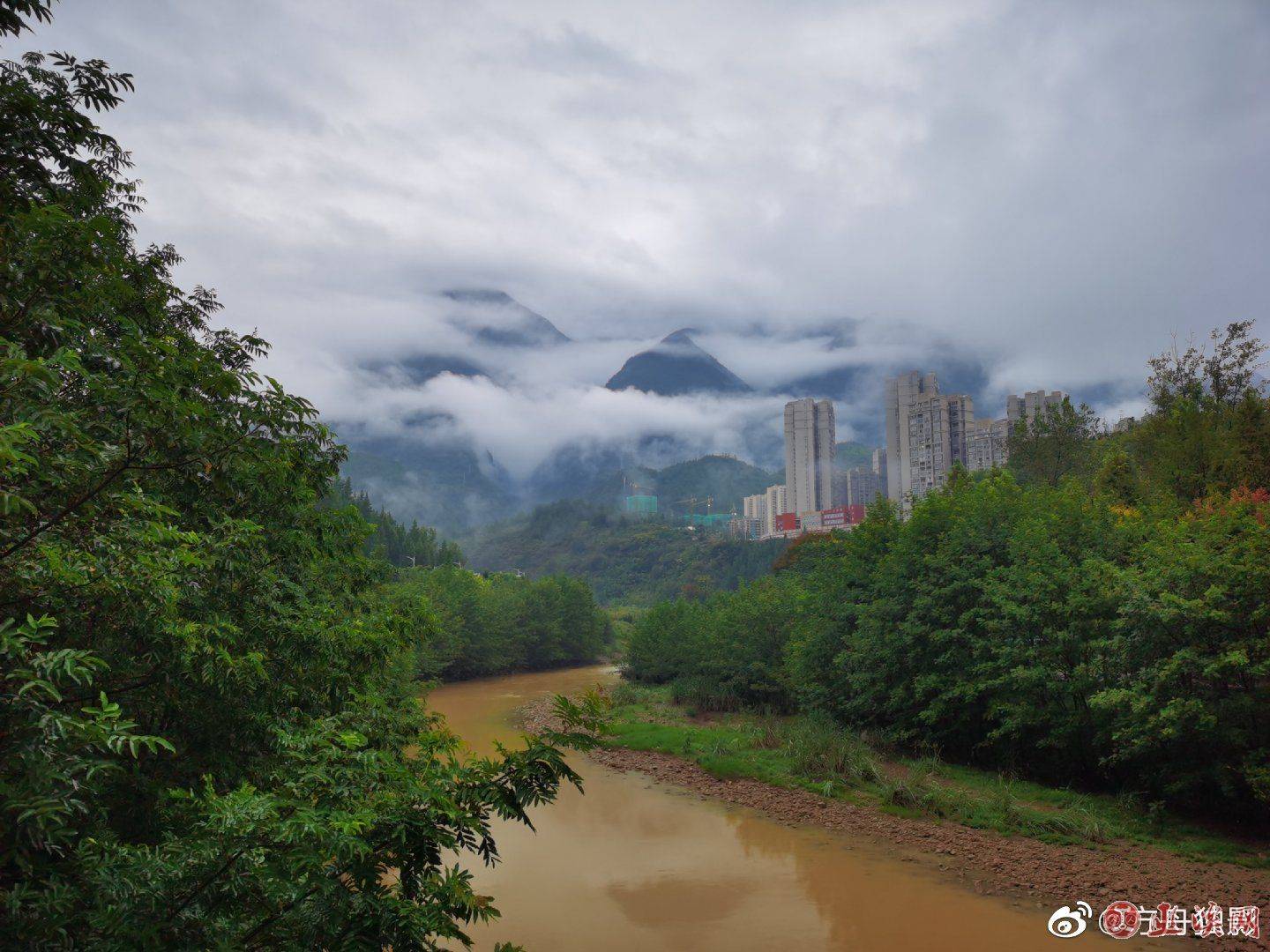 重庆巫溪探索现代山地特色高效农业发展路径|集体经济|重庆市_新浪新闻