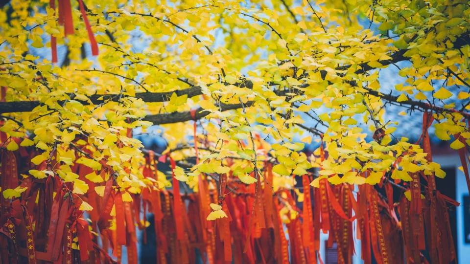 禅寺|江淮大地上的千年古刹，为何其他季节默默无闻，秋季游客络绎不绝