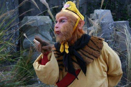 法宝|观音送给悟空最厉害的法宝是什么？他为何只用了一次就不用了？