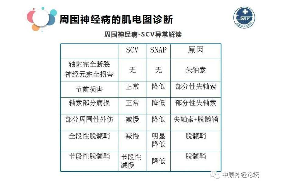 肌电图周围神经病与肌电图诊断