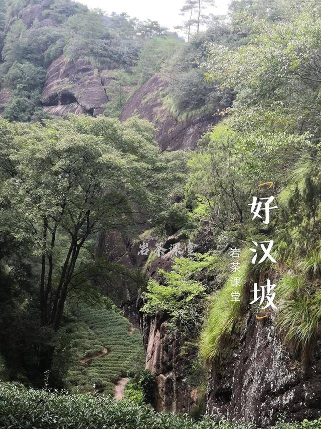 89be7cffbd4249cf823ac82916c63f58.jpeg