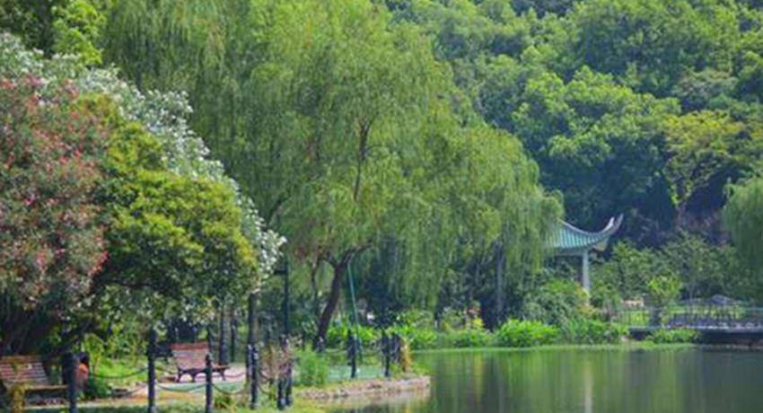 上海鲁迅公园,百年的历史故事见证,到了花开时节美不胜收