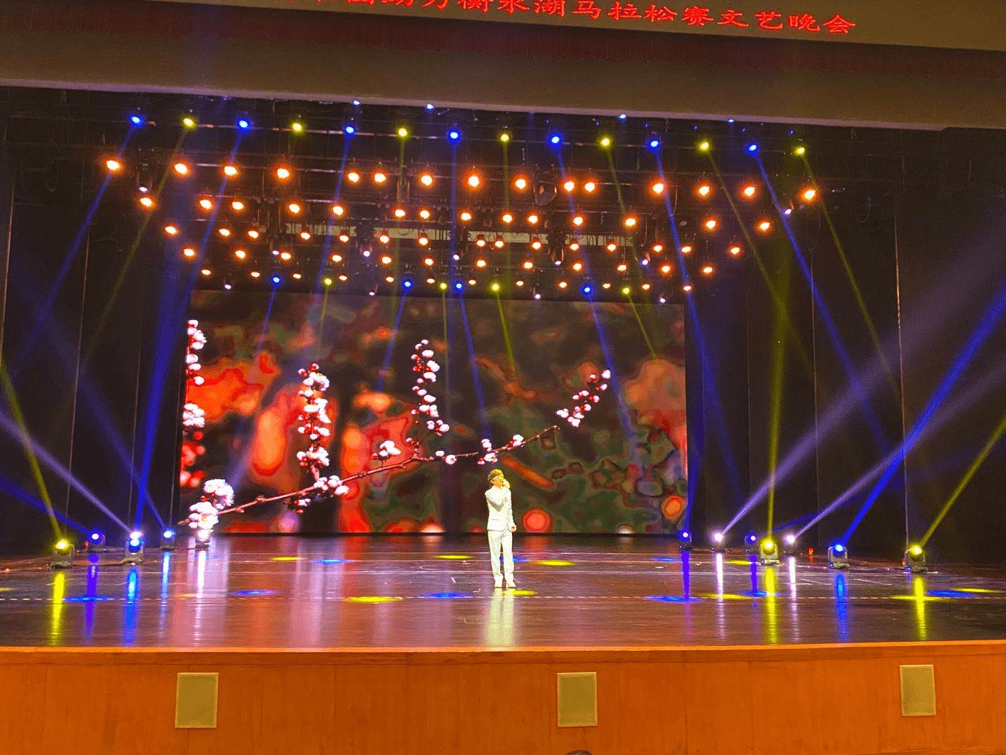 马拉松|赵真参加2020衡水湖马拉松赛助力演唱会
