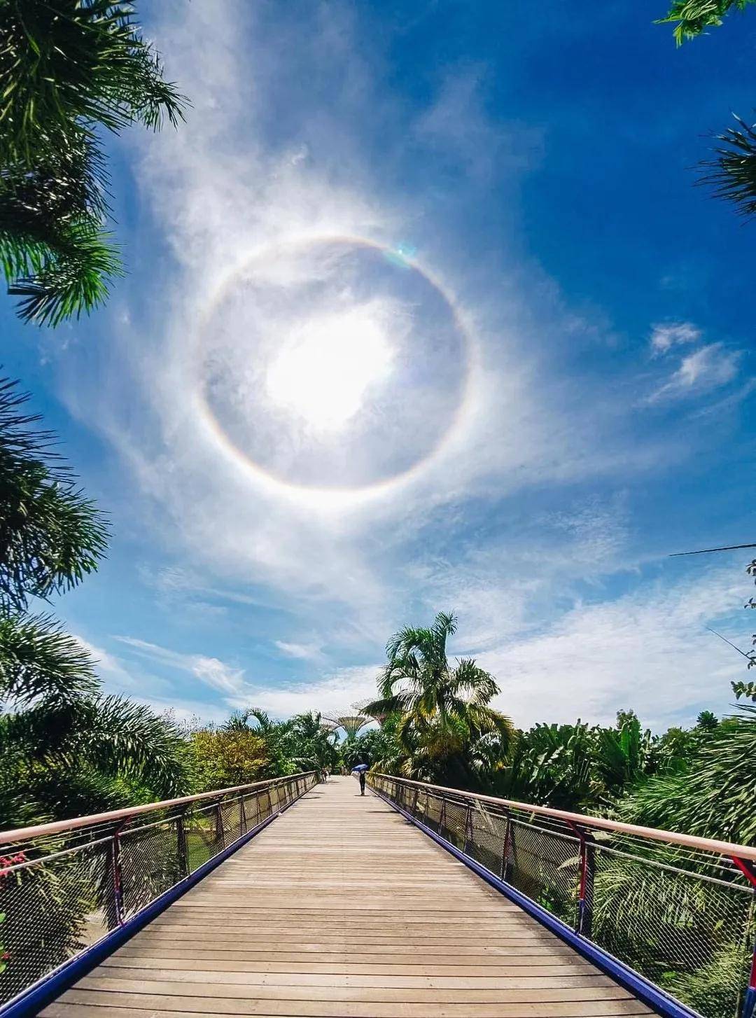 异象|突发!新加坡天降异象,绝美日晕刷屏了~(多图+视频)