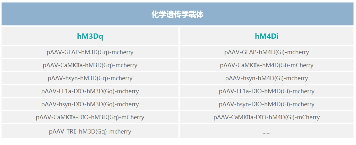 转基因|DREADDs技术