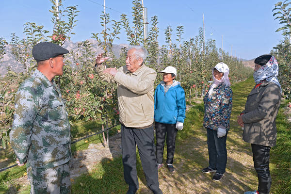 中国农民丰收节一起听果树院士说苹果