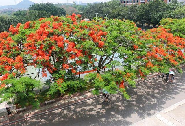 广州|必看！专插本勇做“第一”的大学！你考得上吗？