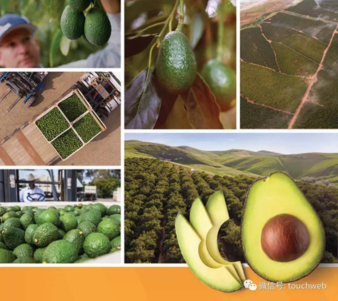 公司|牛油果公司Mission冲刺美股：年营收近9亿美元 路演PPT曝光