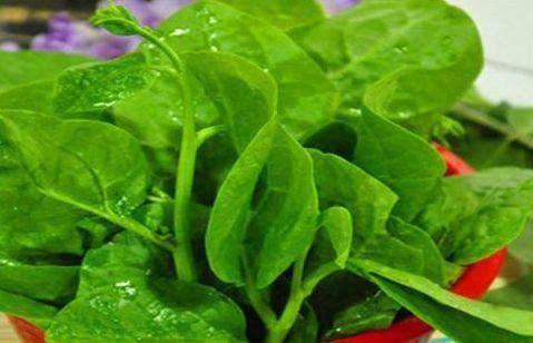 红枣|吃3物,提神醒脑、活血强身、镇静止痛,补水护肤女人想气色好