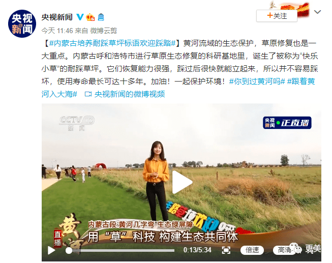 翻版|央视第一甜妹诞生!翻版奶茶,全网舔屏,却早就离婚了?