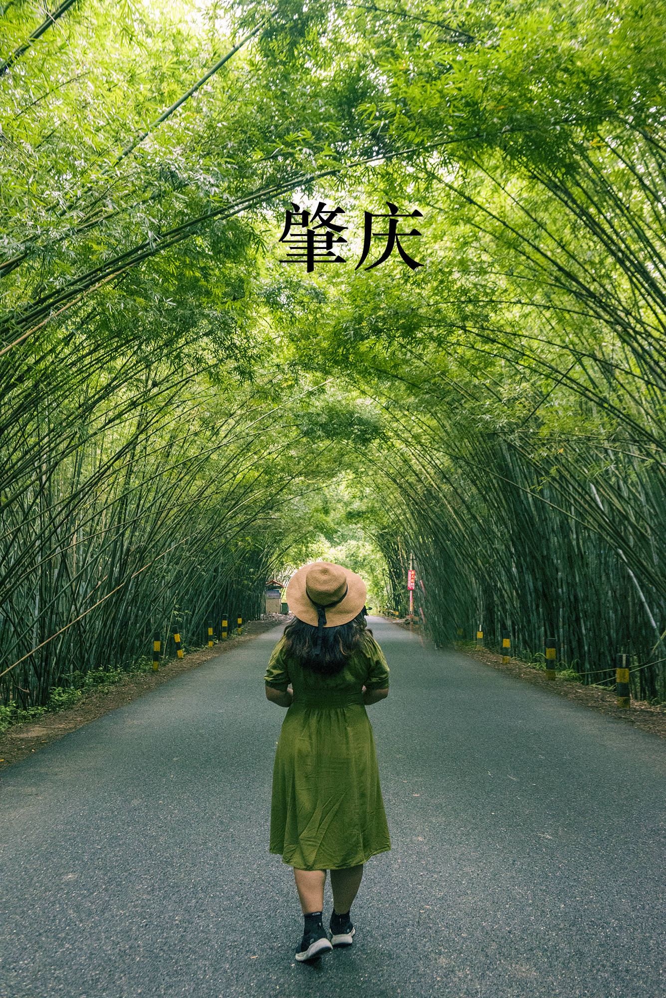 肇庆有多少人口_汕头离肇庆有多少公里