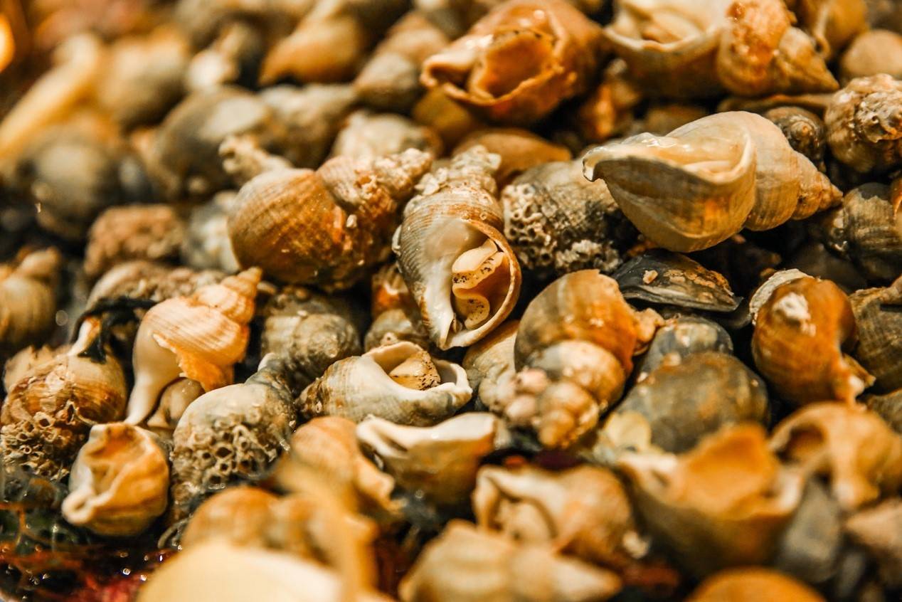 北京|用一场乔迁派对和你暂别，全新UNICO即将归来