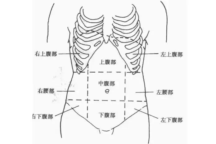 ct及mr扫描中上腹部中腹部下腹部的界限如何划分