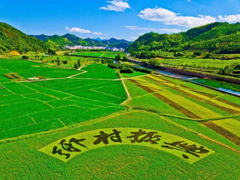 800×600