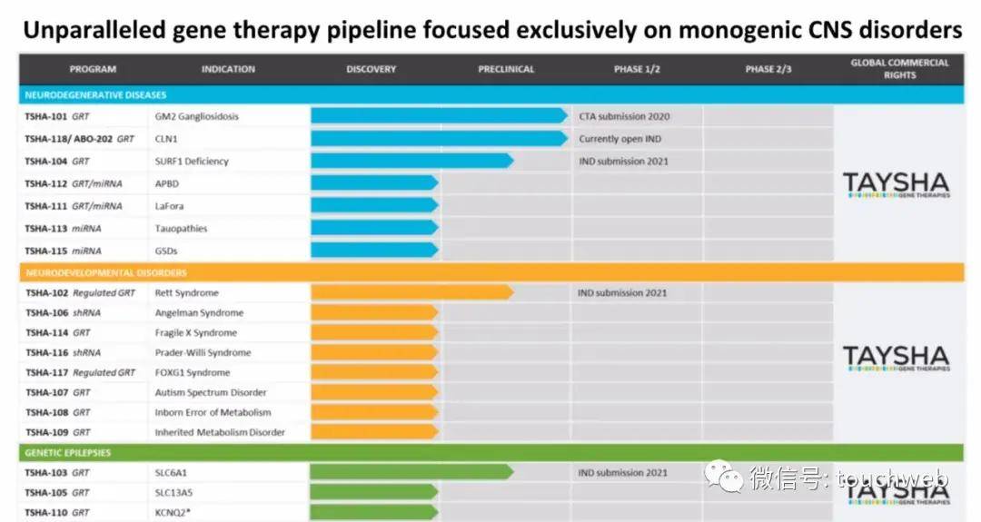 Taysha|基因治疗企业Taysha冲刺美股：拟募资上亿美元 路演PPT曝光