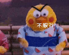 可爱系鹦鹉动态表情包分享一直以为是小黄鸡请开始你的表演