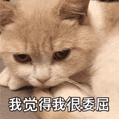 abf5f28aff61490e8e3c27d274e89903.gif