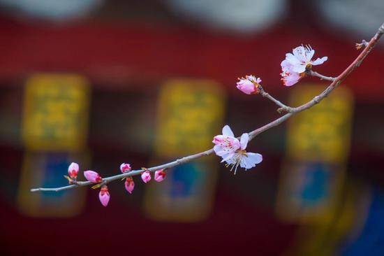 孤念你黑夜里投宿在庵观寺院孤念你夏日受暑冬日受寒请到了真经即回还