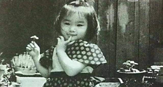 明明是风靡亚洲的天后，为何酒井法子走向“在