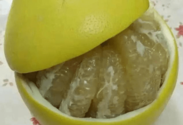 如何挑选柚子的视频 6cf9a8051b574b64b5f07dd391804b09.png