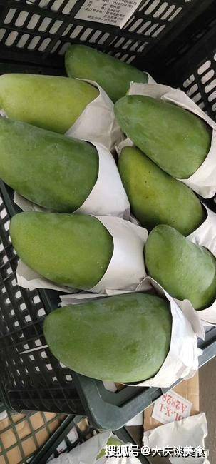 原创青芒果好吃不易熟教你2个催熟小技巧第二天就能吃清甜美味